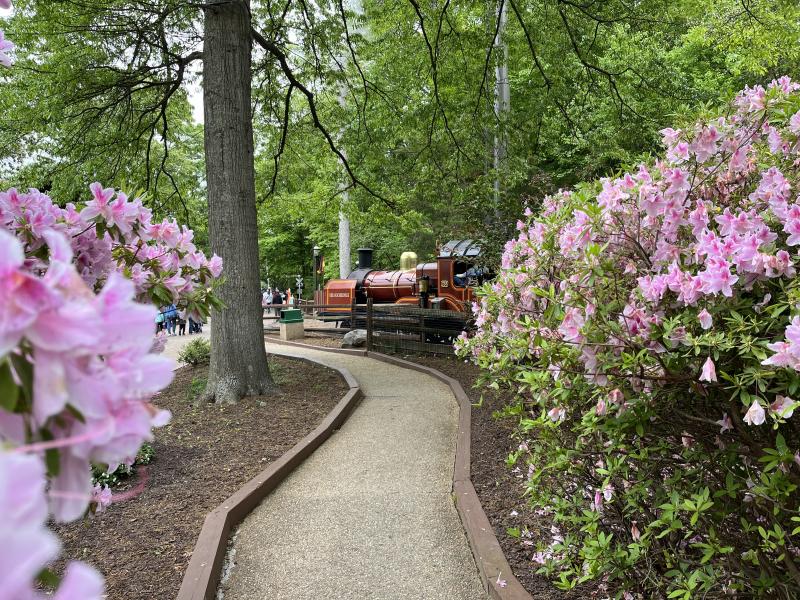 Train at Busch Gardens