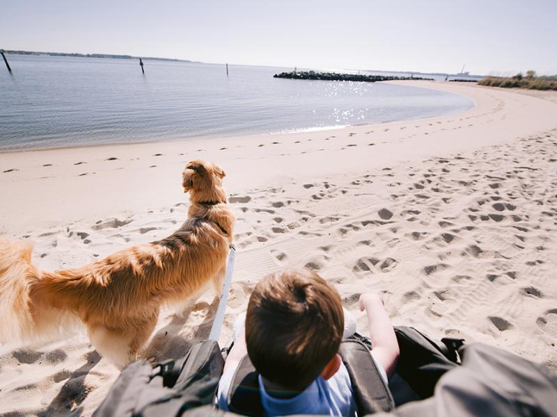 dog and child on yorktown beach - influencer