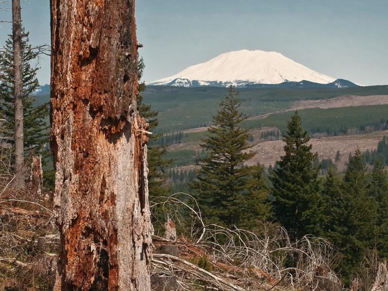 Bells Mountain Trail Viewpoint