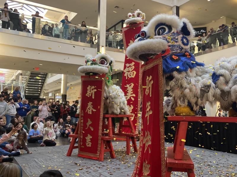 Lunar New Year Celebration