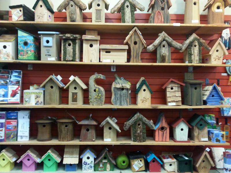 backyard bird shop birdhouses