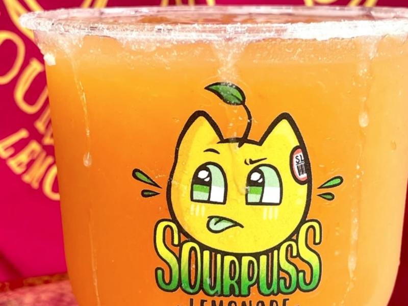 Sourpuss image 1