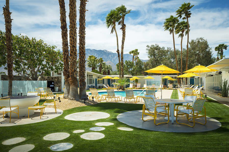 monkey tree hotel palm springs