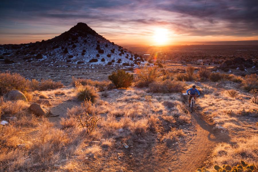 Mountain Bike Albuquerque