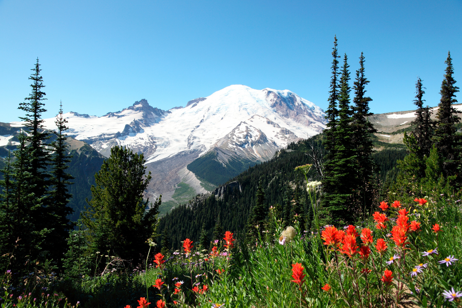 Summer Hikes and Things to Do in Washington