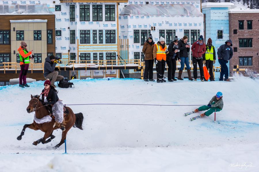 skijoring