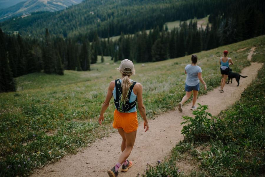 Three hikers traverse a dirt path through a lush green valley, surrounded by tall trees and distant mountains. A dog accompanies them.