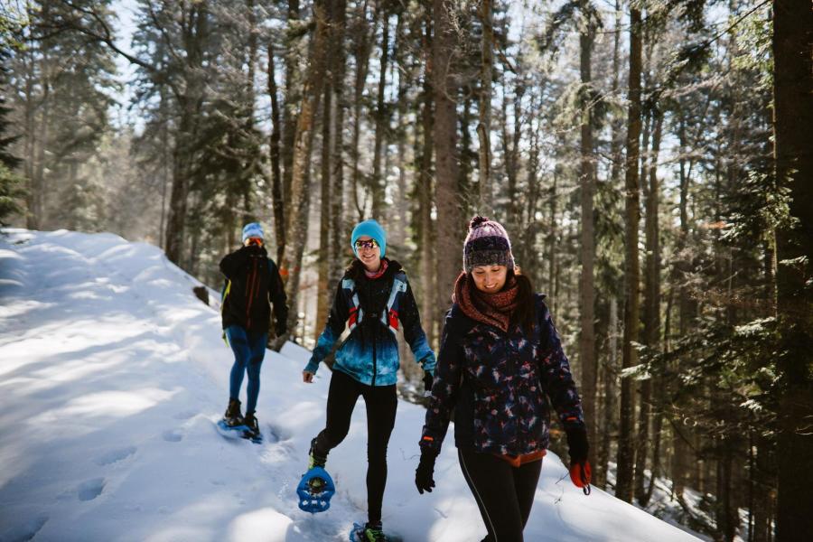 Three individuals snowshoeing on a snowy trail surrounded by tall evergreen trees. Sunlight filters through the forest, creating a serene atmosphere.