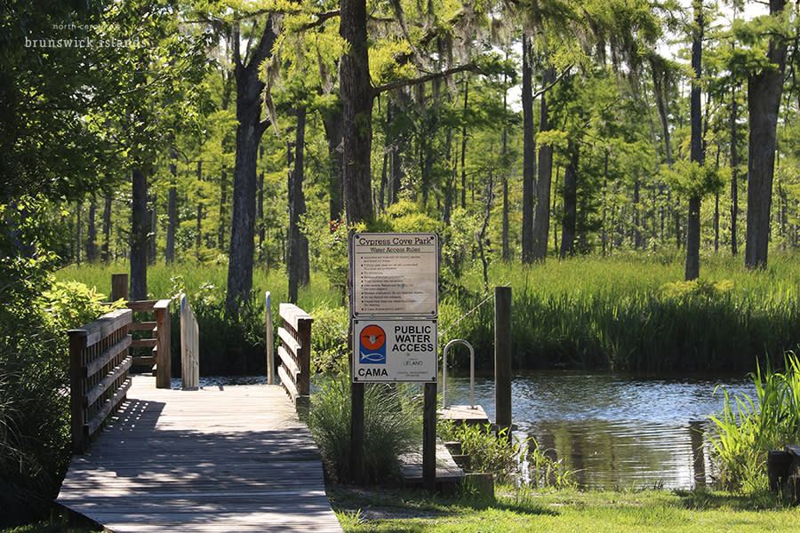 a wooden pier and ramp for kayaks at Cypress Cove Park in Leland, NC