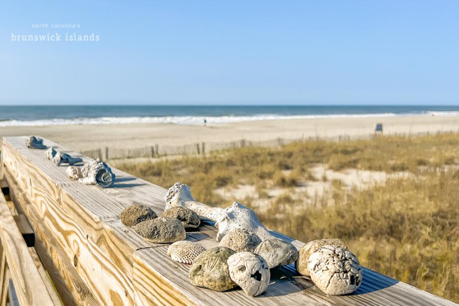 Sea shells and sea biscuits on a walkway railing in Holden Beach, NC.
