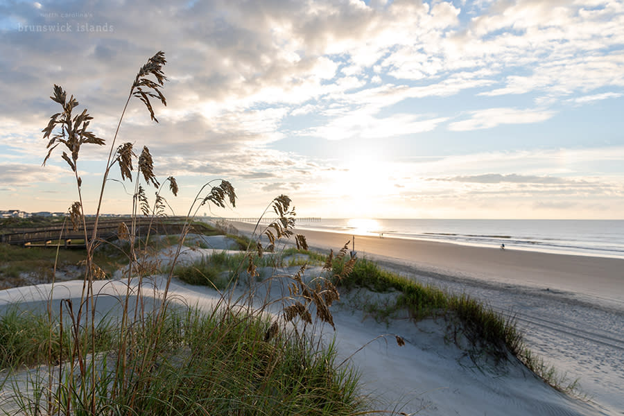 a view of the beach strand form over the dunes on Sunset Beach at sunrise in September