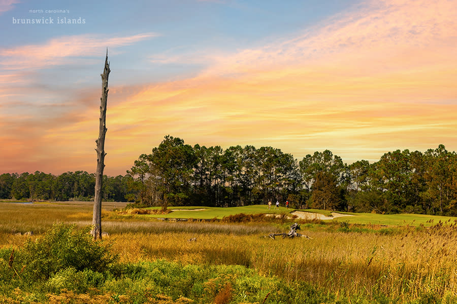 a view of a golf group on a green on hole #5 at Carolina National