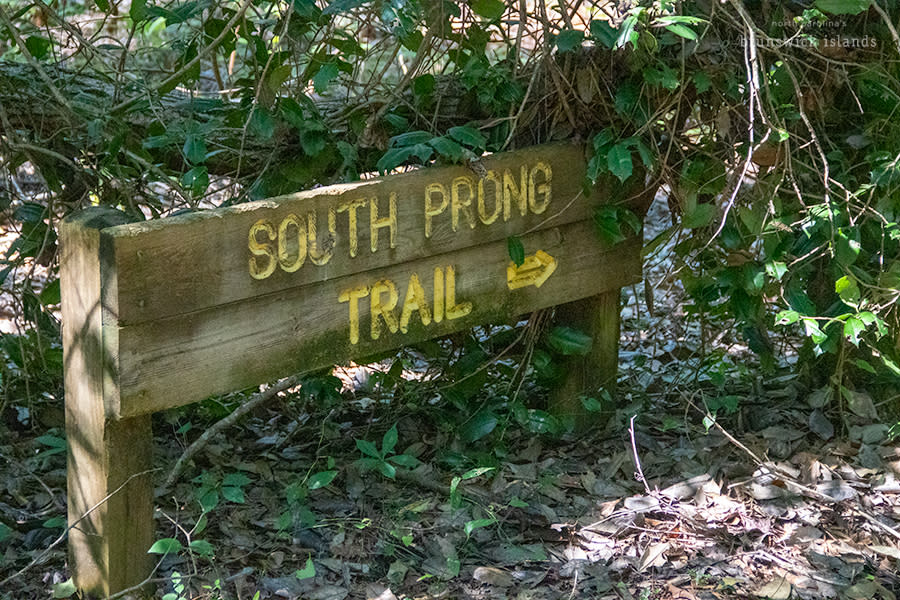 a wooden trail sign at Ev-Henwood Nature Preserve