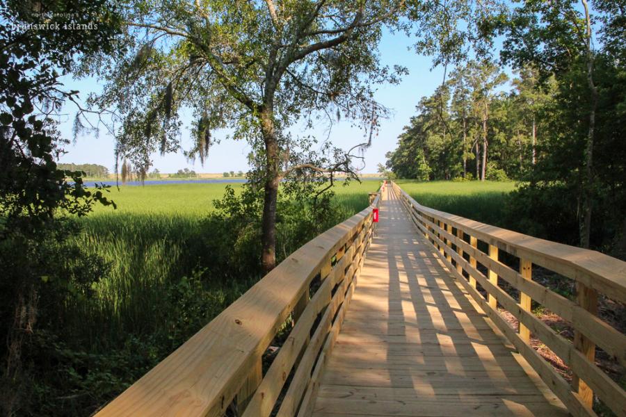 a wooden railed walkway leading from a forest into a clearing of marsh river grasses at the Belville Riverwalk Park