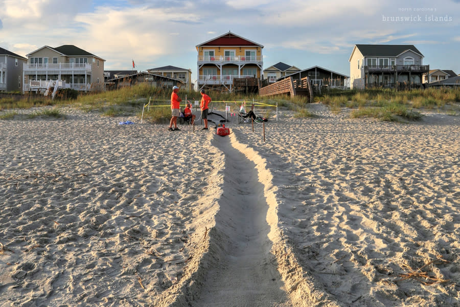 a ramp of sand leading from a turtle nest to the ocean with a group of people standing near