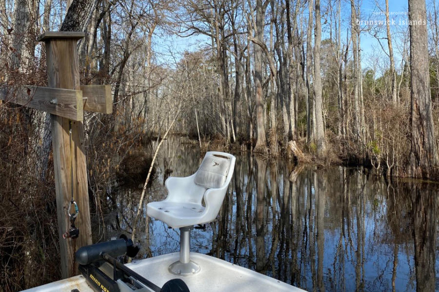 pov sitting on a boat floating in a swamp