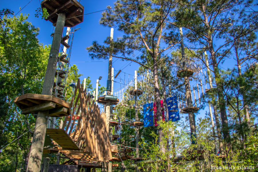 The Swamp Park
