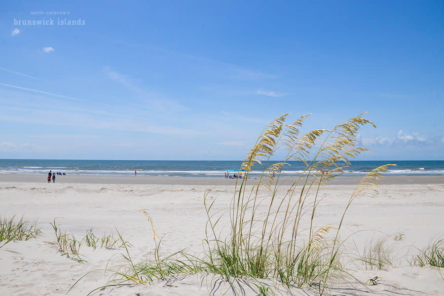 a wide open beach and some sea oats in the foreground