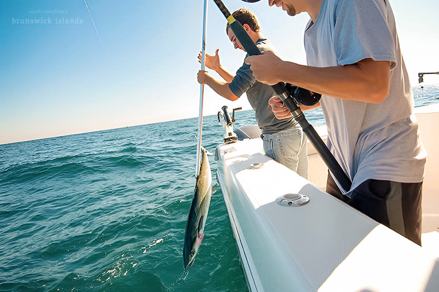 a man spearing a king mackerel to lift into a boat offshore of NC's Brunswick Islands