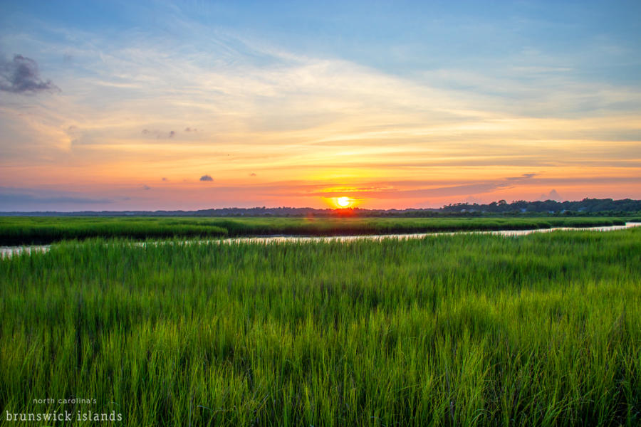 sunset over green marsh grasses