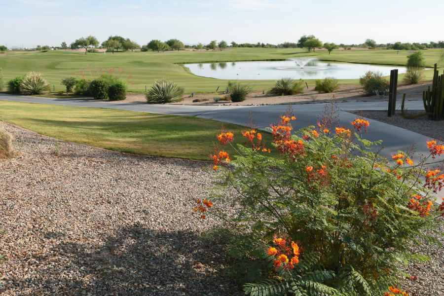 Bear Creek Golf Complex