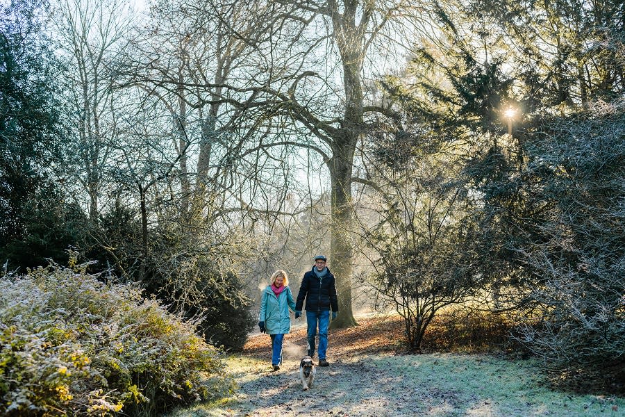 Westonbirt Arboretum