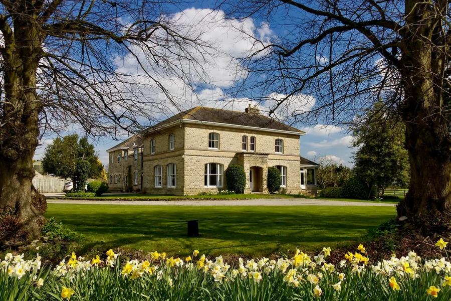 Trees and daffodils frame a large, Cotswold stone house