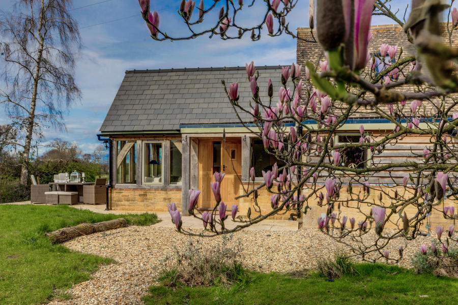 Hiron’s Piece and Honeysuckle Cottage, beautiful cottage with a magnolia tree and blue sky.