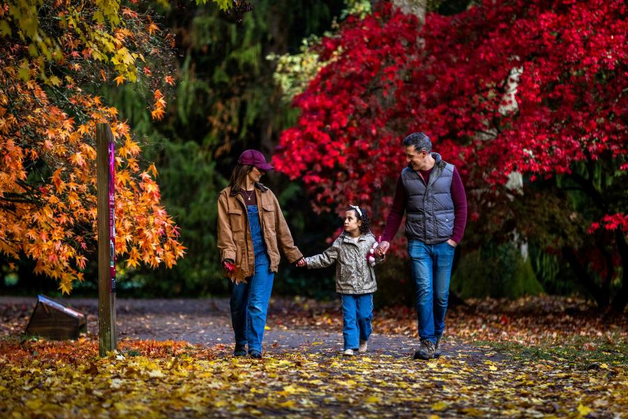 Family walking hand in hand beneath vibrant autumn trees at Westonbirt, The National Arboretum, in the Cotswolds