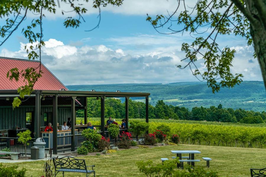 Summer Days at Lakewood Vineyards on Seneca Lake