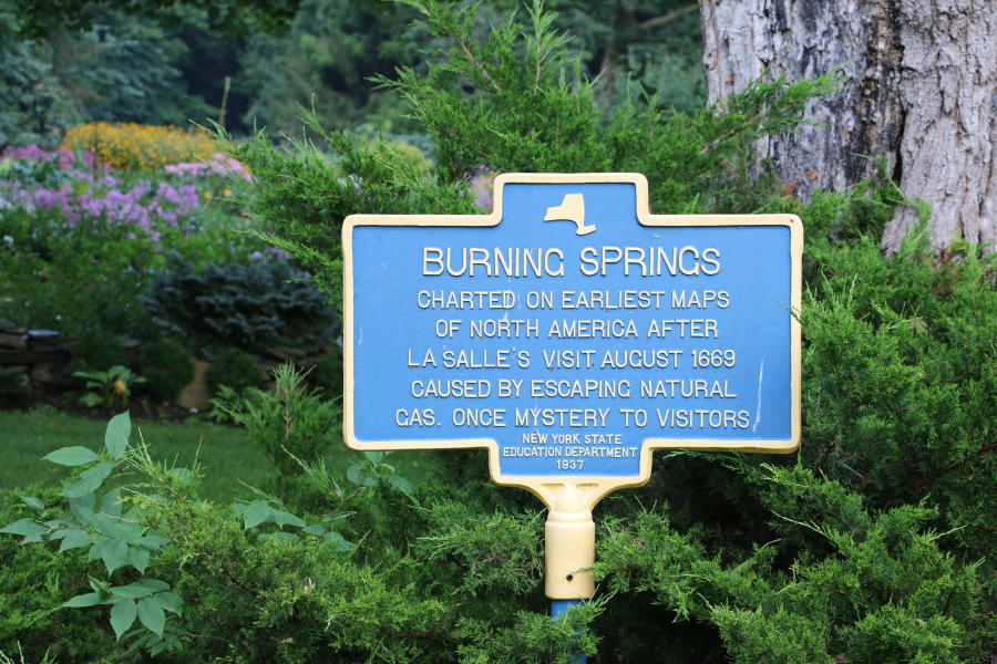 burning springs blue sign