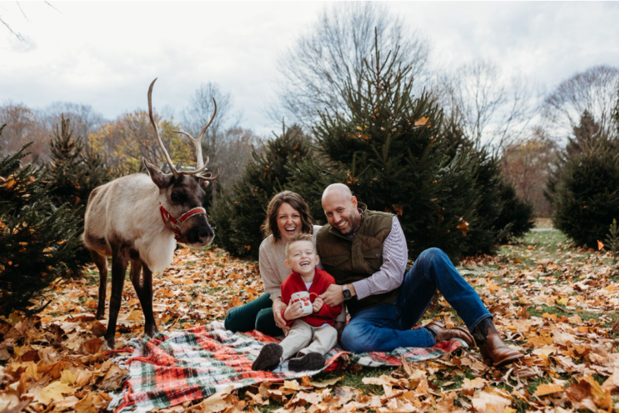 Hanggi's Tree Farm, Naples, NY