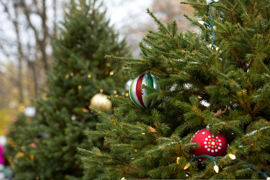 Christmas Tree Ornaments