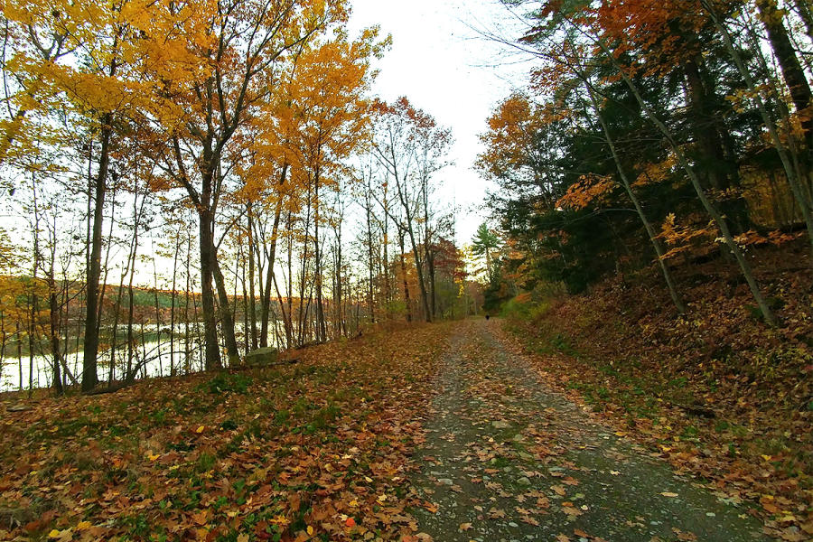 Hemlock Canadice State Park