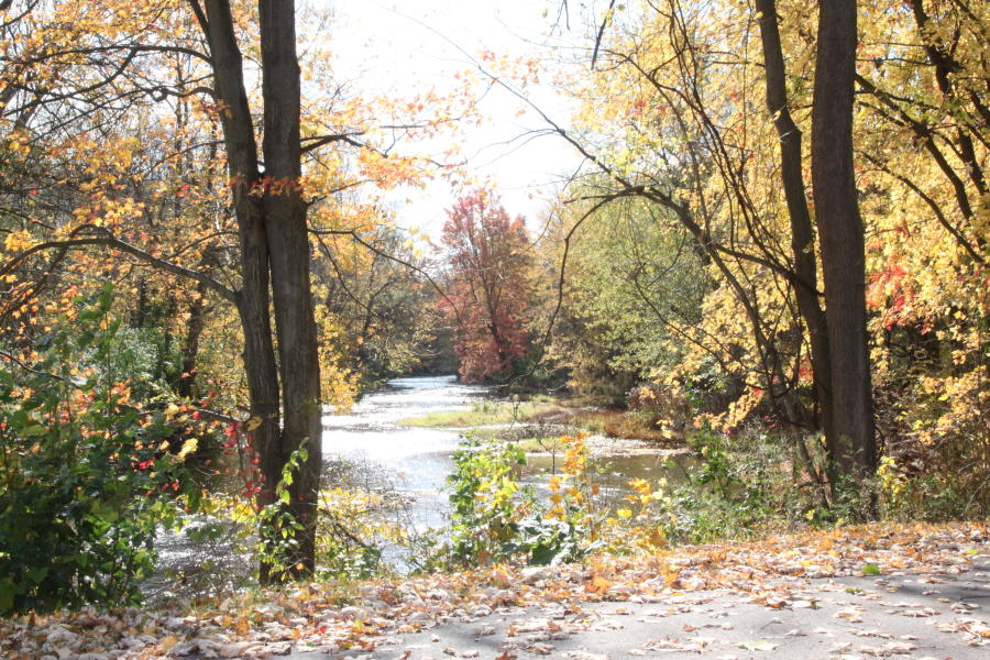 Manchester Gateway Trail in the Fall