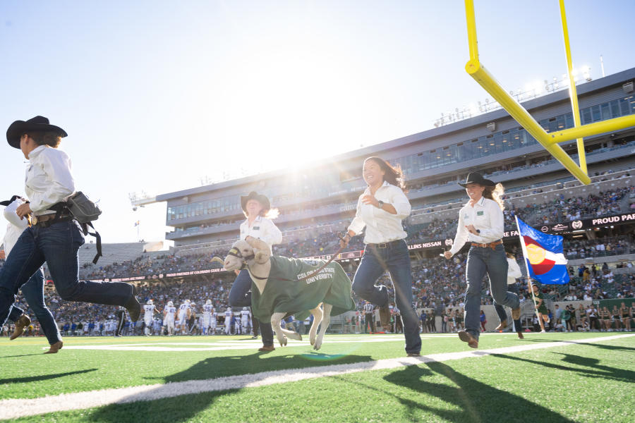 CSU Game Ram Running