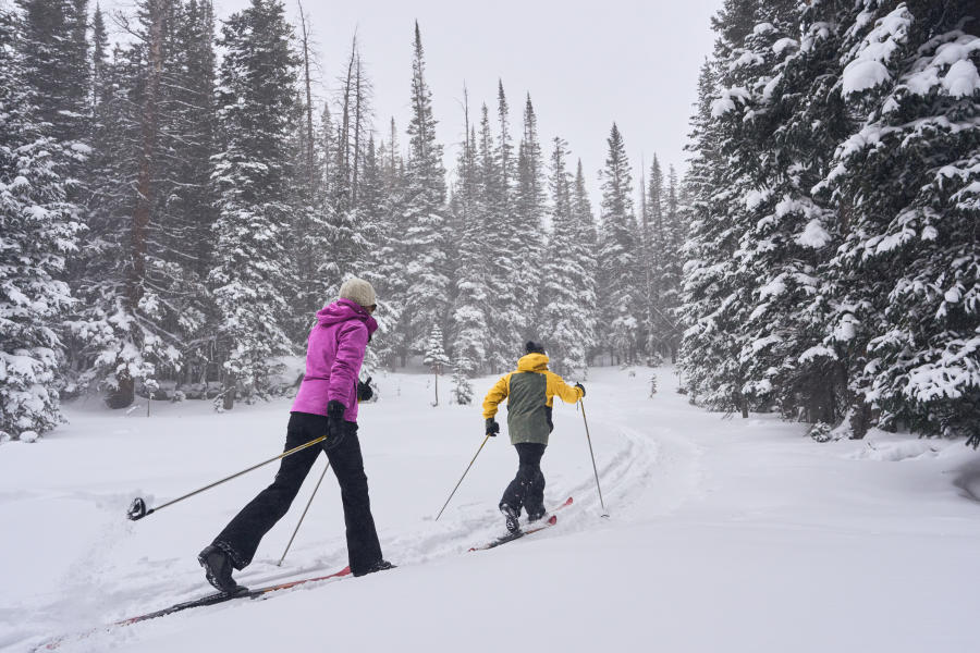 Cross country skiiers at Cameron Pass