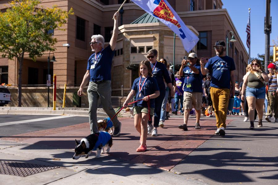 Corgi Parade