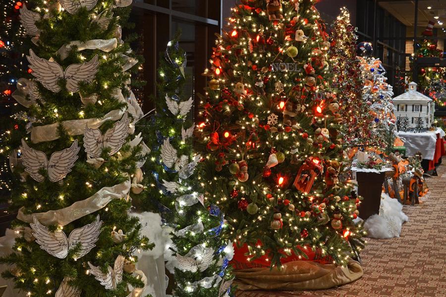 Greeley Festival of Trees Holiday Light Celebration