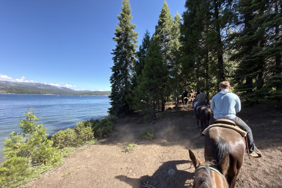 Shaver Lake Horseback