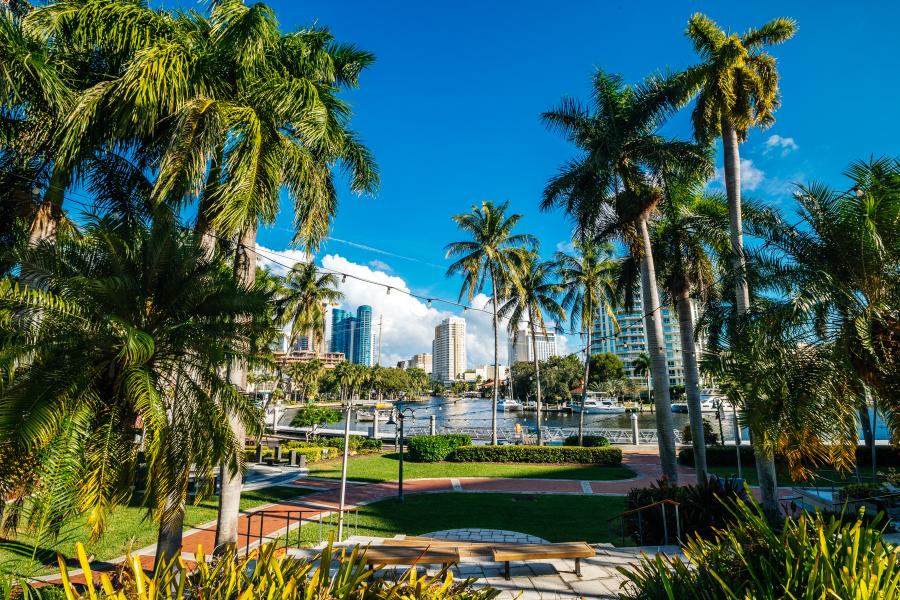 Broward Center View