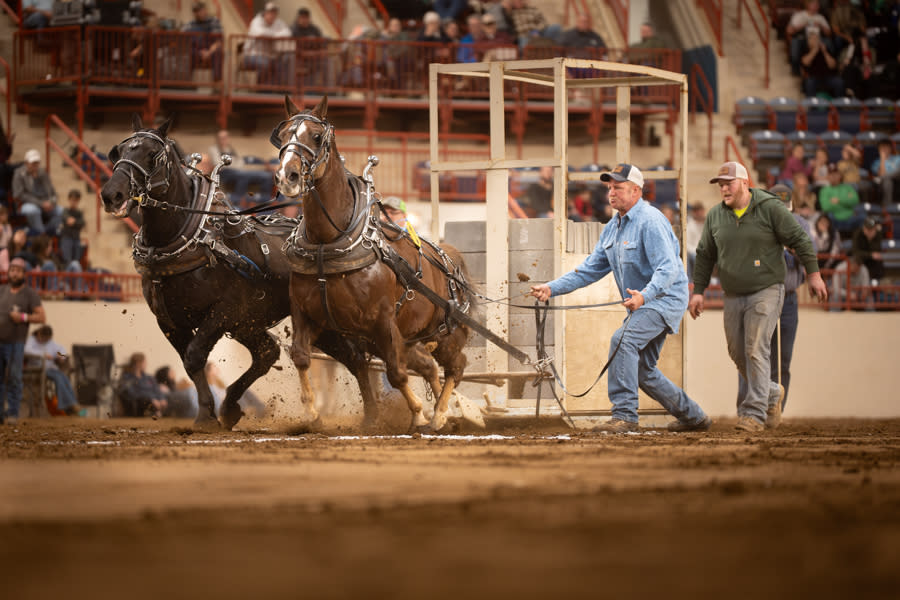 Farm Show Horse Pull