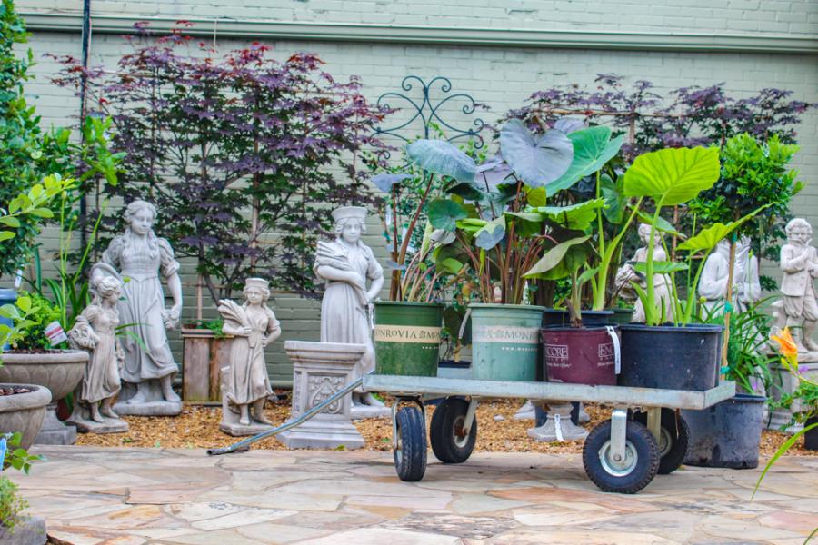 Where To Find Gorgeous Plants In Huntsville, Brooks And Collier Outdoor Furniture