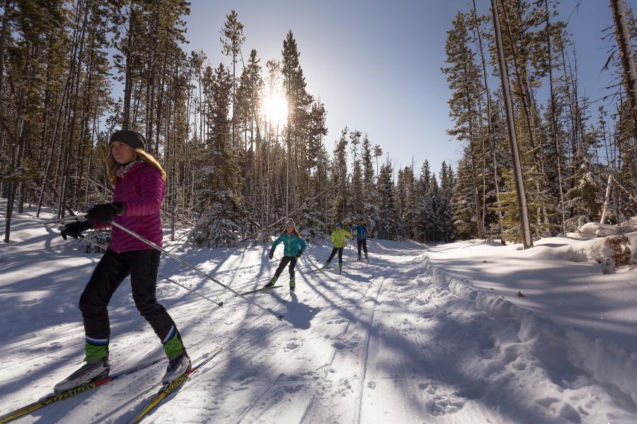 Cross-country skiing