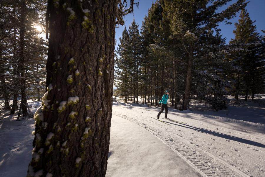 Cross-country skiing