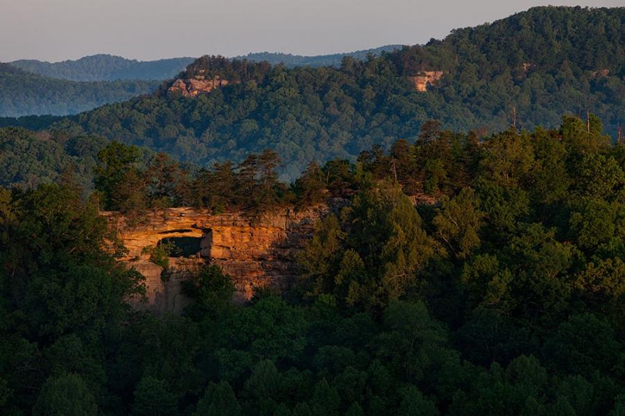 TASTE-OF-KENTUCKY_LANDSCAPES__SARAH-JANE-SANDERS-c2015_010018