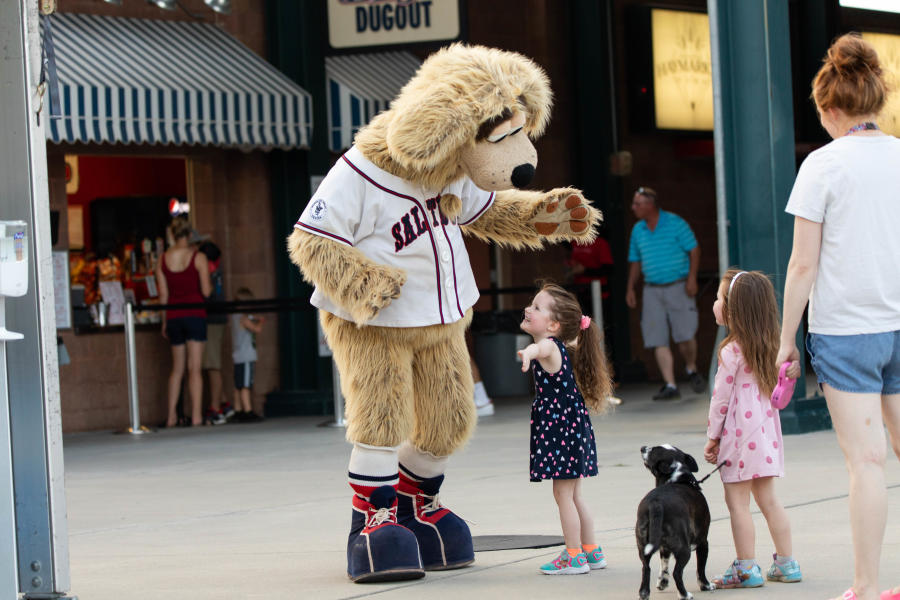 Lincoln Saltdogs