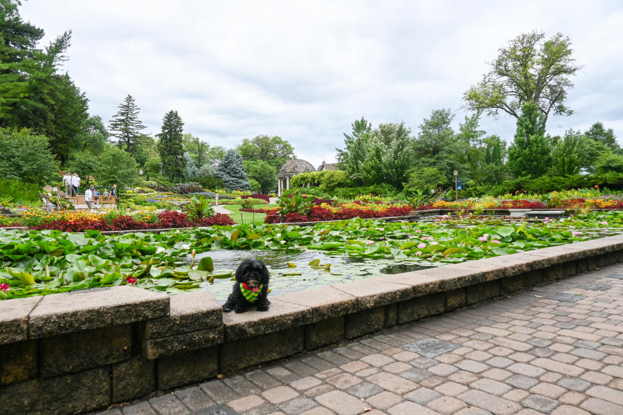 Bella at Sunken Gardens