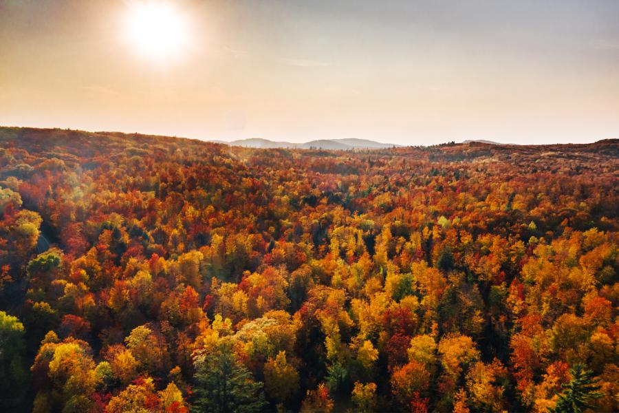 Fall