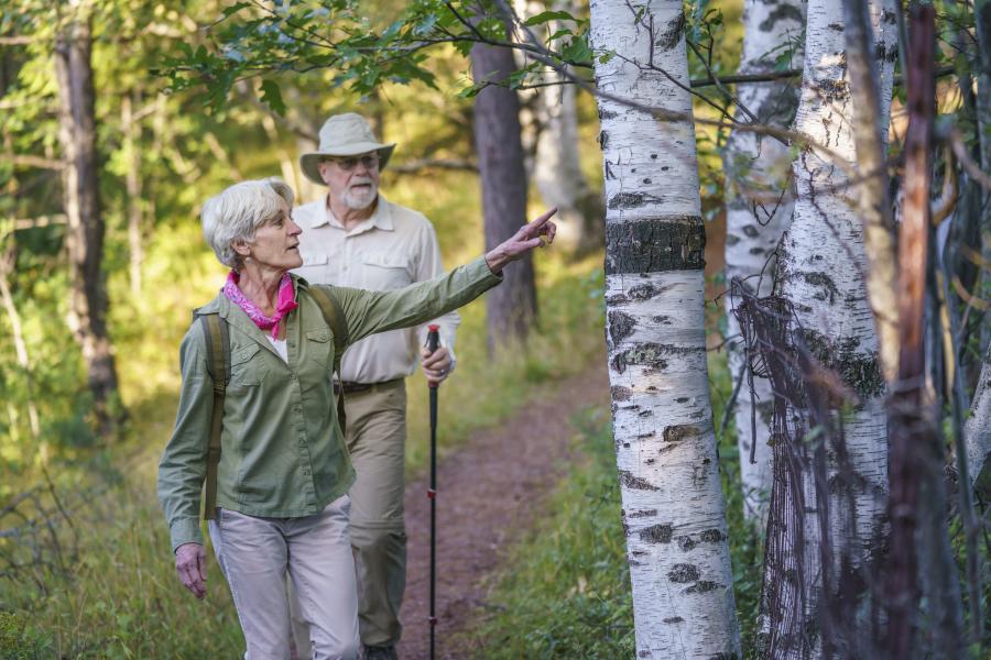A woman pointing at a white birch tree while walking on a trail in the woods